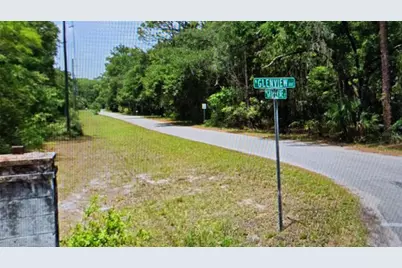 2797 W Grapevine Court, Dunnellon, FL 34433 - Photo 3