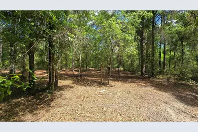 2797 W Grapevine Court, Dunnellon, FL 34433 - Photo 7