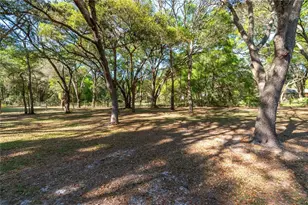3005 SE 160th Ln Rd, Summerfield, FL 34491 - Photo 45
