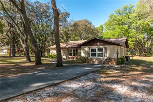 3005 SE 160th Ln Rd, Summerfield, FL 34491 - Photo 5