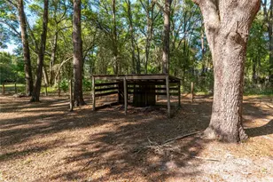 3005 SE 160th Ln Rd, Summerfield, FL 34491 - Photo 47