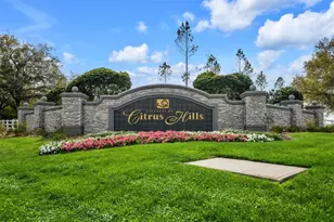 1707 W Spring Meadow Loop, Lecanto, FL 34461 - Photo 31