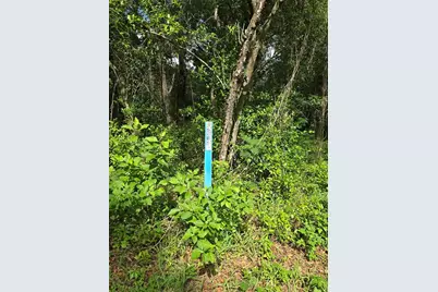 Tbd S St Clair Street, Wildwood, FL 34785 - Photo 5