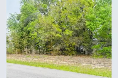 Sw 83rd Street, Dunnellon, FL 34431 - Photo 3