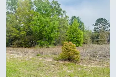 Sw 83rd Street, Dunnellon, FL 34431 - Photo 5