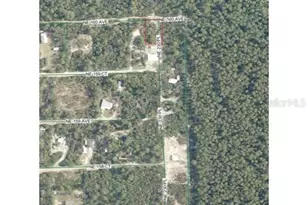 Tbd NE 213th St, Fort Mc Coy, FL 32134 - Photo 1