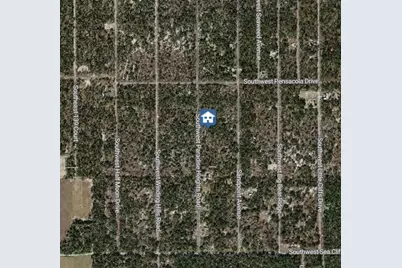 000 SW Paradise Heights Road, Dunnellon, FL 34431 - Photo 3