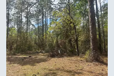 3700 SW 189th Avenue, Dunnellon, FL 34432 - Photo 23