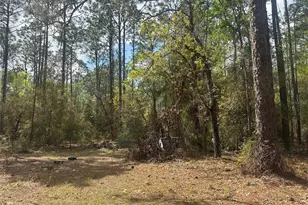 3700 SW 189th Ave, Dunnellon, FL 34432 - Photo 23