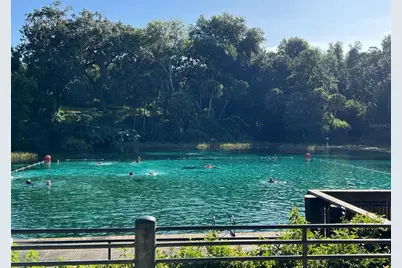 0000 SW Rainelle Road, Dunnellon, FL 34431 - Photo 9