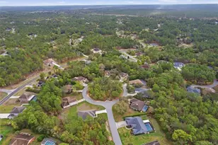 13 Bonnie Ct N, Homosassa, FL 34446 - Photo 45