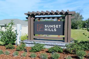 10109 SE 158th Ln, Summerfield, FL 34491 - Photo 17