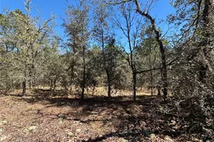 0000 SW Hillcrest Ave, Dunnellon, FL 34431 - Photo 1