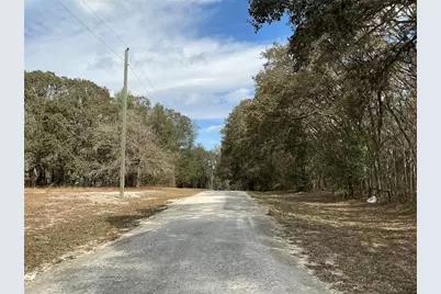 9299 Goodstone Drive, Webster, FL 33597 - Photo 5