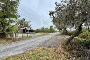 8671 NE 304th Terrace, Salt Springs, FL 32134 - Photo 21