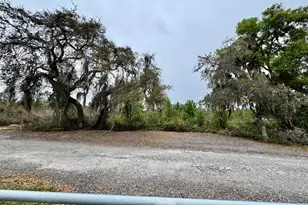 8671 NE 304th Terrace, Salt Springs, FL 32134 - Photo 25