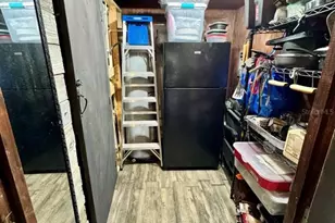 8671 NE 304th Terrace, Salt Springs, FL 32134 - Photo 7