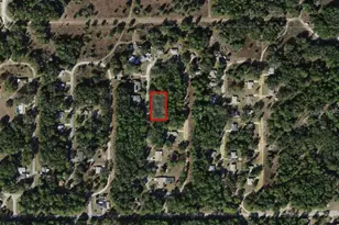8646 N Discalfani Loop, Crystal River, FL 34428 - Photo 1