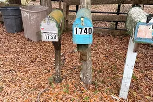 1730 S Palm Ave, Homosassa, FL 34448 - Photo 7