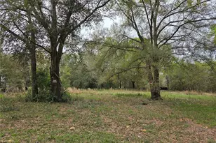 5870 NE 139th Ave, Williston, FL 32696 - Photo 1