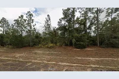Lot 44 Unit 8 Blk 495 Devonshire Drive, Chipley, FL 32428 - Photo 3