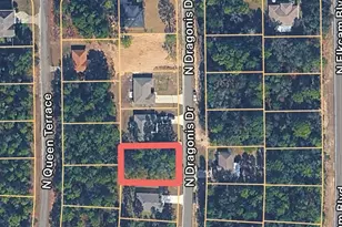 10924 N Dragonis Dr, Citrus Springs, FL 34433 - Photo 1