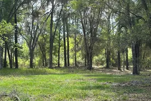 12501 SW Hwy 200, Dunnellon, FL 34432 - Photo 19