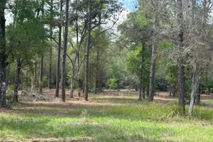 12501 SW Hwy 200, Dunnellon, FL 34432 - Photo 17