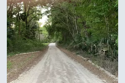 18111 N US Hwy 301, Citra, FL 32113 - Photo 7