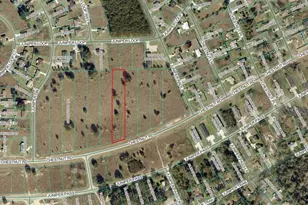 Chestnut Rd, Ocala, FL 34480 - Photo 1