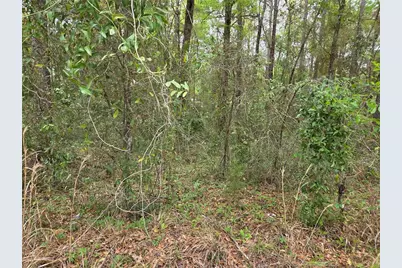 0000 NE 138th Terrace, Williston, FL 32696 - Photo 3