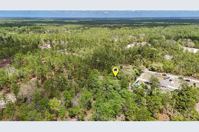 Tbd SW 137th Court Road, Dunnellon, FL 34432 - Photo 13