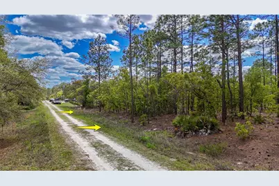 Tbd SW 137th Court Road, Dunnellon, FL 34432 - Photo 15