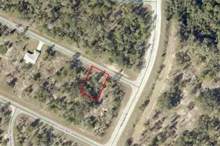 Tbd Malauka Dr, Ocklawaha, FL 32179 - Photo 1