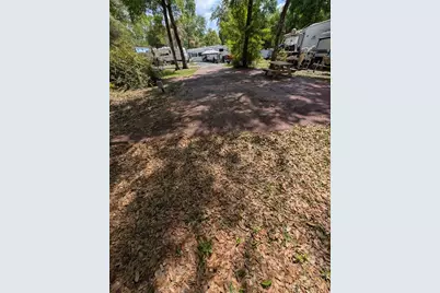 25215 NE 142nd Street, Salt Springs, FL 32134 - Photo 3