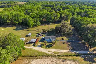 13841 NE Jacksonville Rd, Citra, FL 32113 - Photo 5