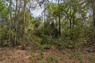 Tbd NE 66th Ct, Citra, FL 32113 - Photo 1