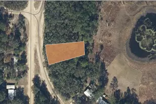 Tbd Scott Circle, Interlachen, FL 32148 - Photo 1