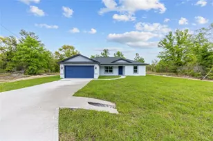 5 Malauka Loop Trk, Ocklawaha, FL 32179 - Photo 3