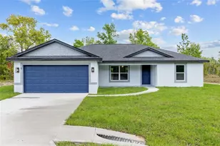 5 Malauka Loop Trk, Ocklawaha, FL 32179 - Photo 7