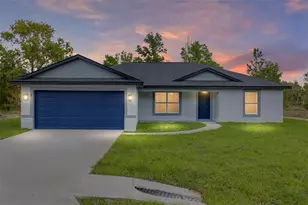 5 Malauka Loop Trk, Ocklawaha, FL 32179 - Photo 1