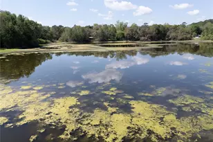 2550 SE 31st St, Gainesville, FL 32641 - Photo 33