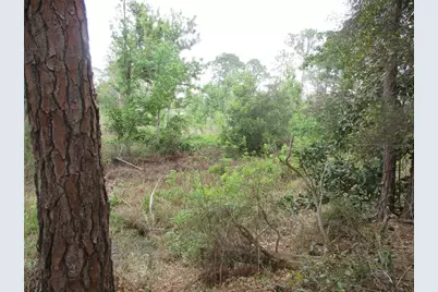 5790 SE 183rd Terrace, Ocklawaha, FL 32179 - Photo 11