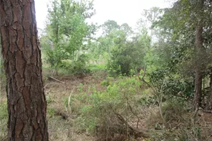 5790 SE 183rd Terrace, Ocklawaha, FL 32179 - Photo 11