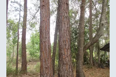 5790 SE 183rd Terrace, Ocklawaha, FL 32179 - Photo 9