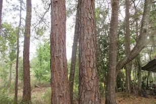 5790 SE 183rd Terrace, Ocklawaha, FL 32179 - Photo 9