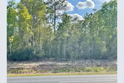 Tbd NE Highway 27 Alt, Williston, FL 32696 - Photo 1
