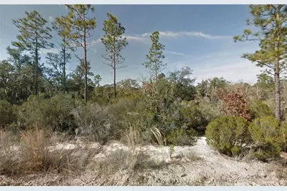 Ne 100th Avenue, Bronson, FL 32621 - Photo 1