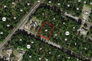 3711 W Norwick Pl, Citrus Springs, FL 34433 - Photo 1