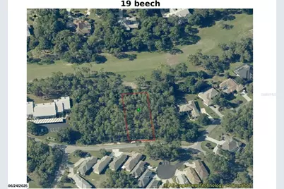19 Beech Street, Homosassa, FL 34446 - Photo 3